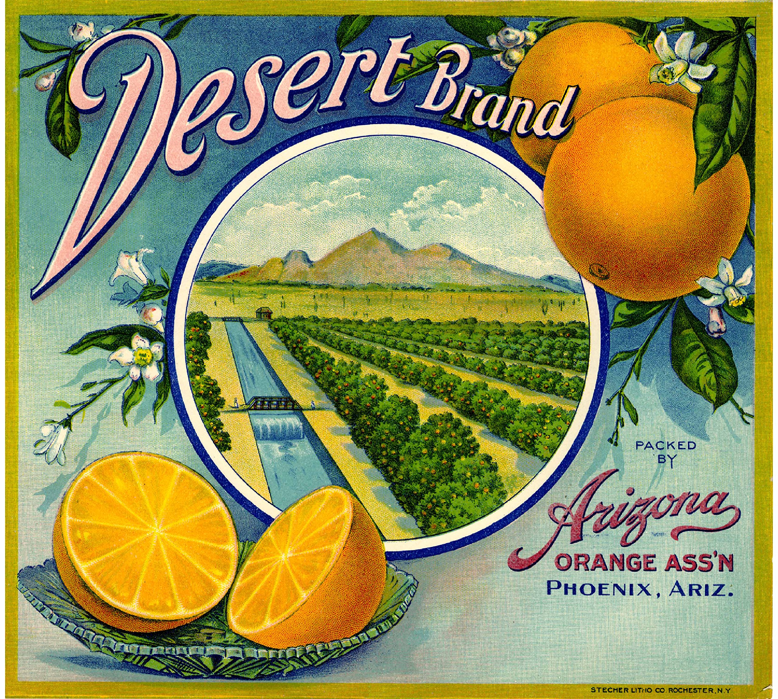 Desert  （ブルックリン）購入ポスター Amazon.com: A SLICE IN TIME Phoenix Arizona Desert Brand Orange